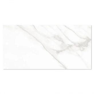 Marmor Klinker Florens Carrara Vit Matt 30x60 cm